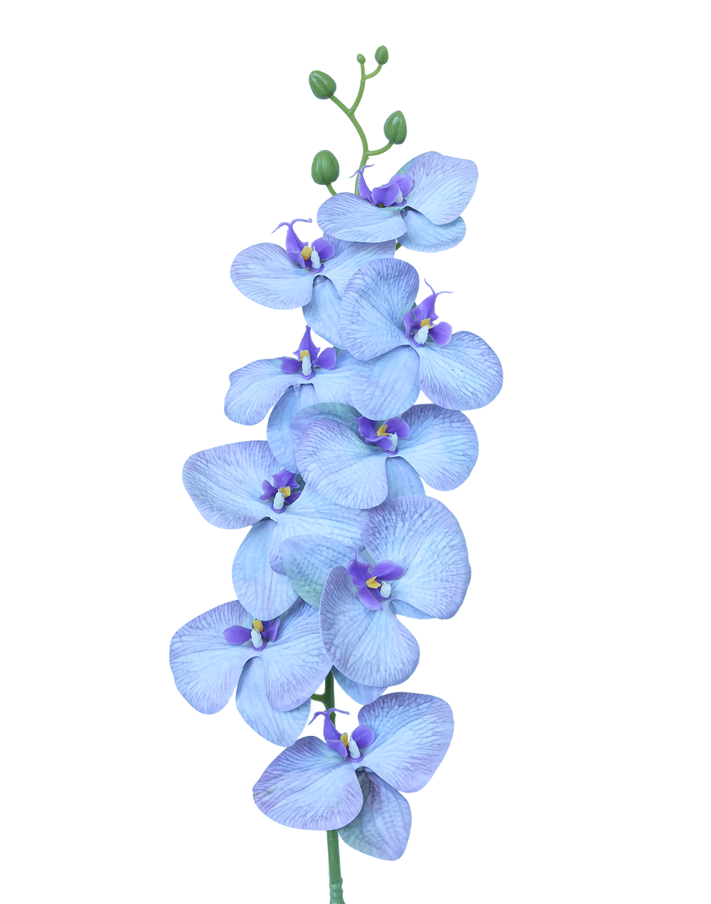 3D Orchid Stem | Available in 31 Colors