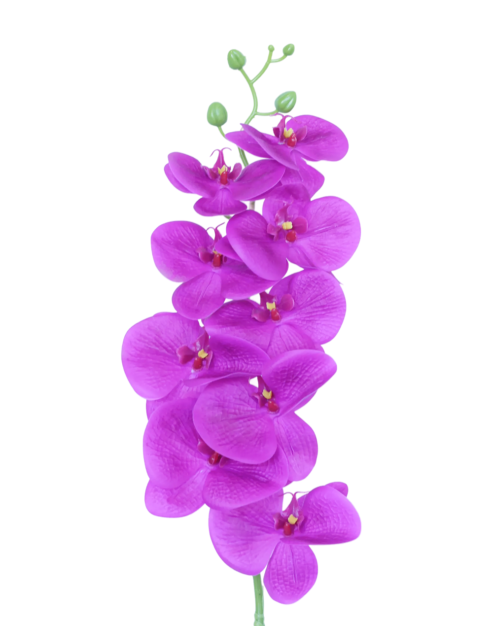 3D Orchid Stem | Available in 31 Colors