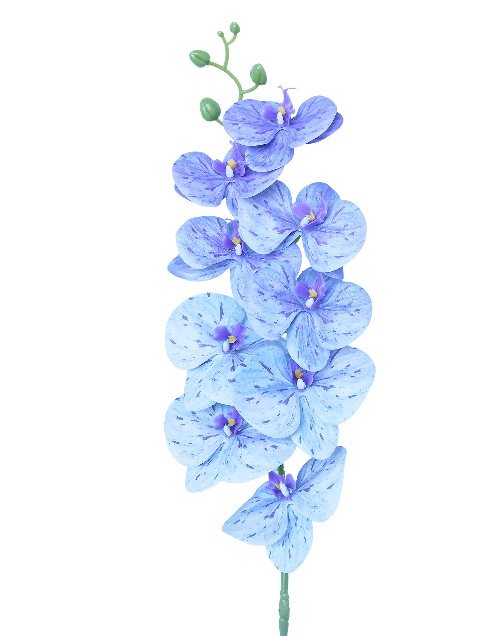 3D Orchid Stem | Available in 31 Colors