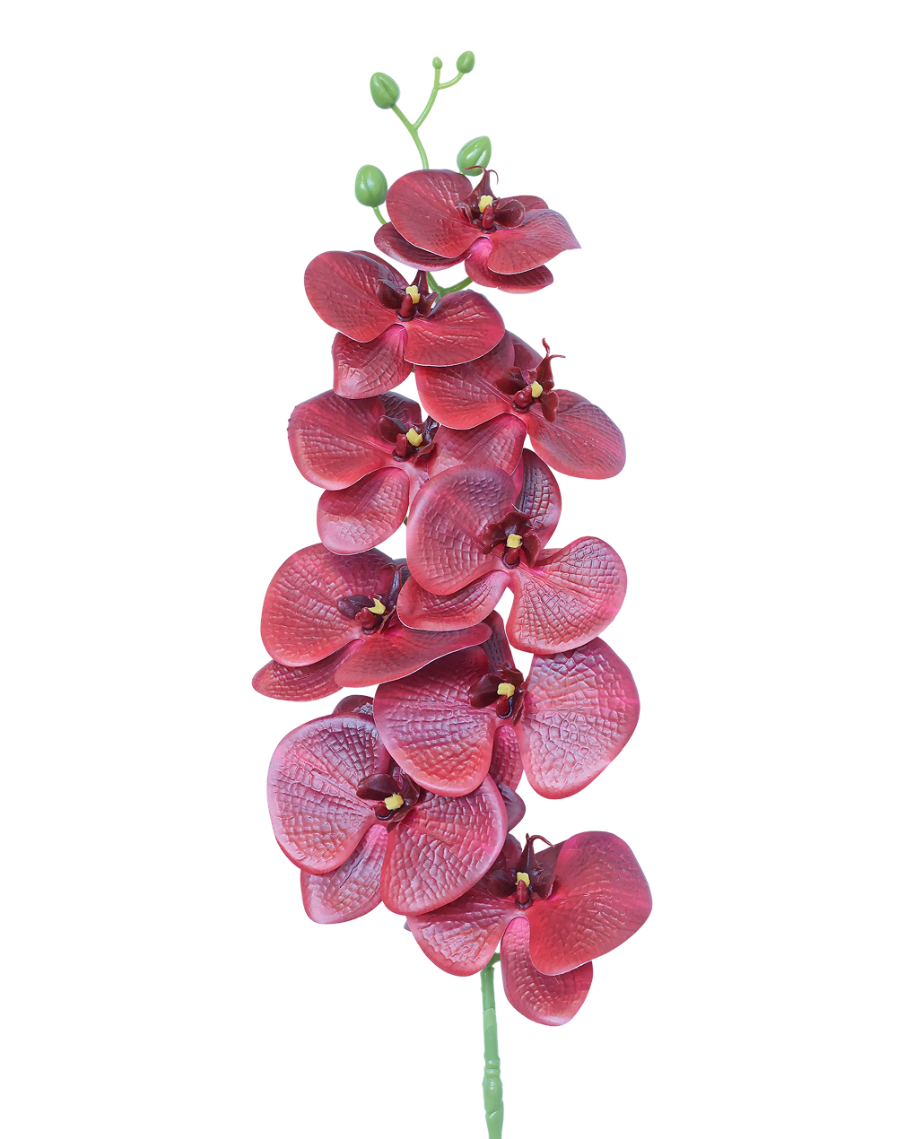 3D Orchid Stem | Available in 31 Colors