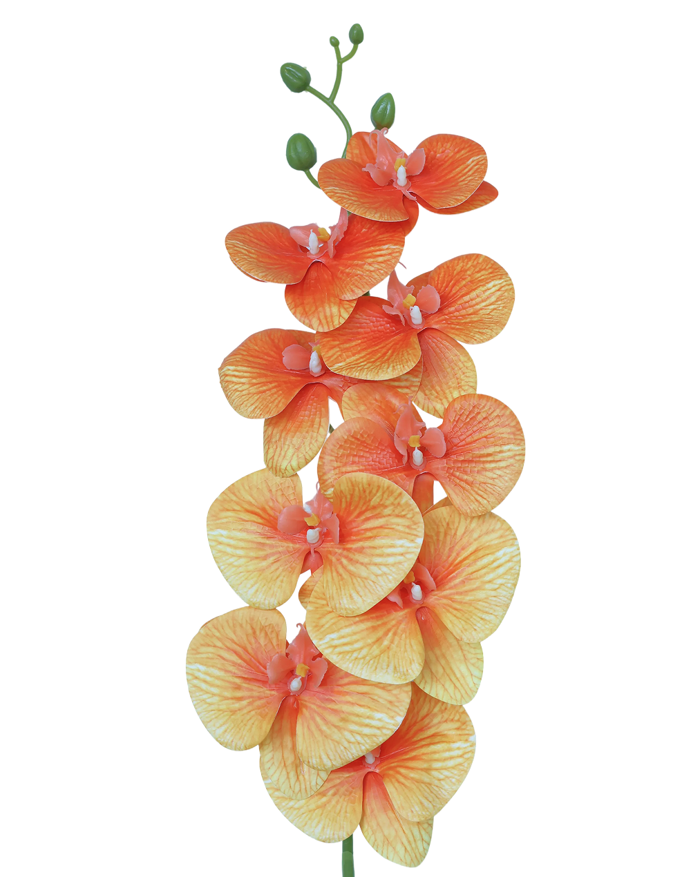 3D Orchid Stem | Available in 31 Colors