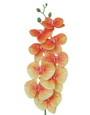 3D Orchid Stem | Available in 31 Colors