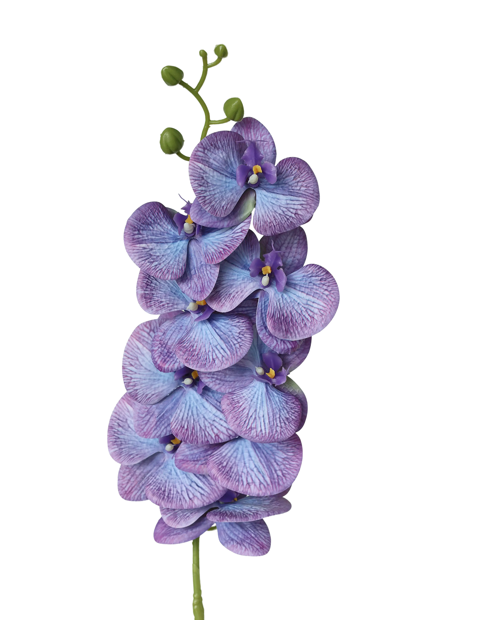 3D Orchid Stem | Available in 31 Colors