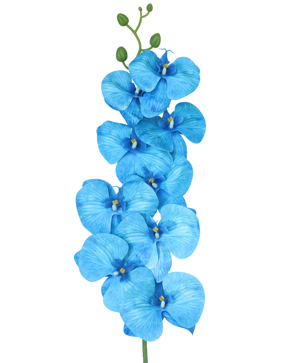 3D Orchid Stem | Available in 31 Colors