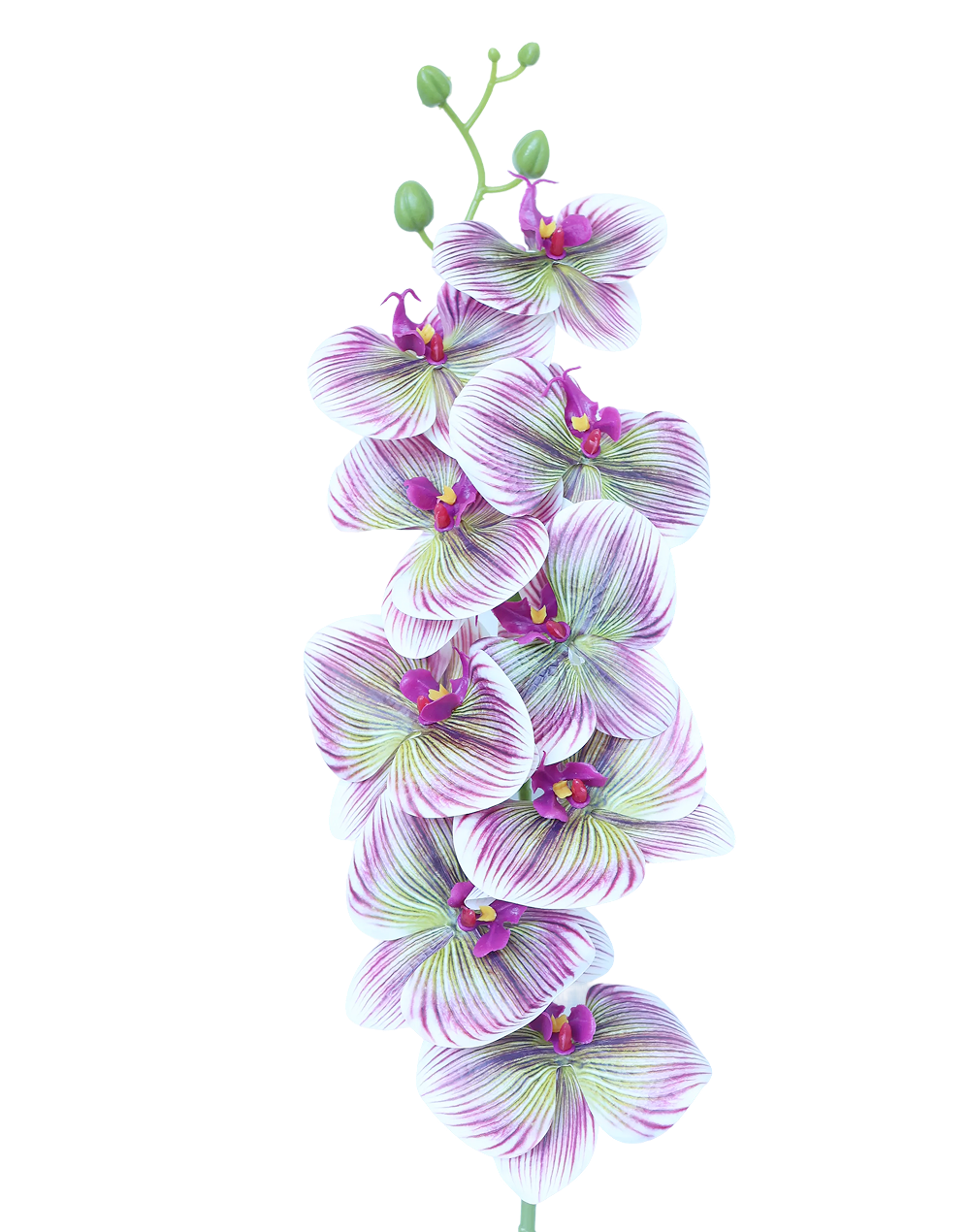 3D Orchid Stem | Available in 31 Colors
