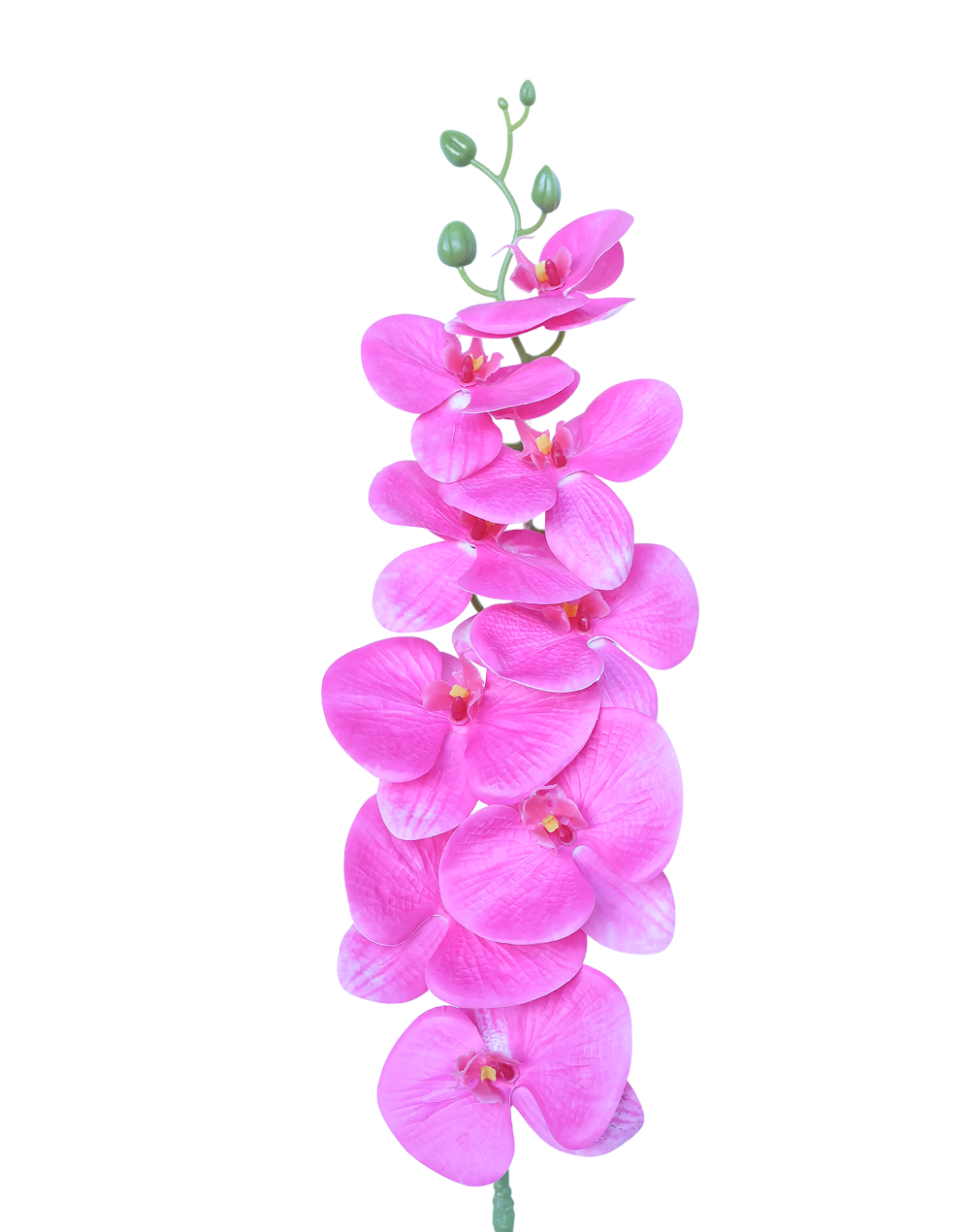 3D Orchid Stem | Available in 31 Colors