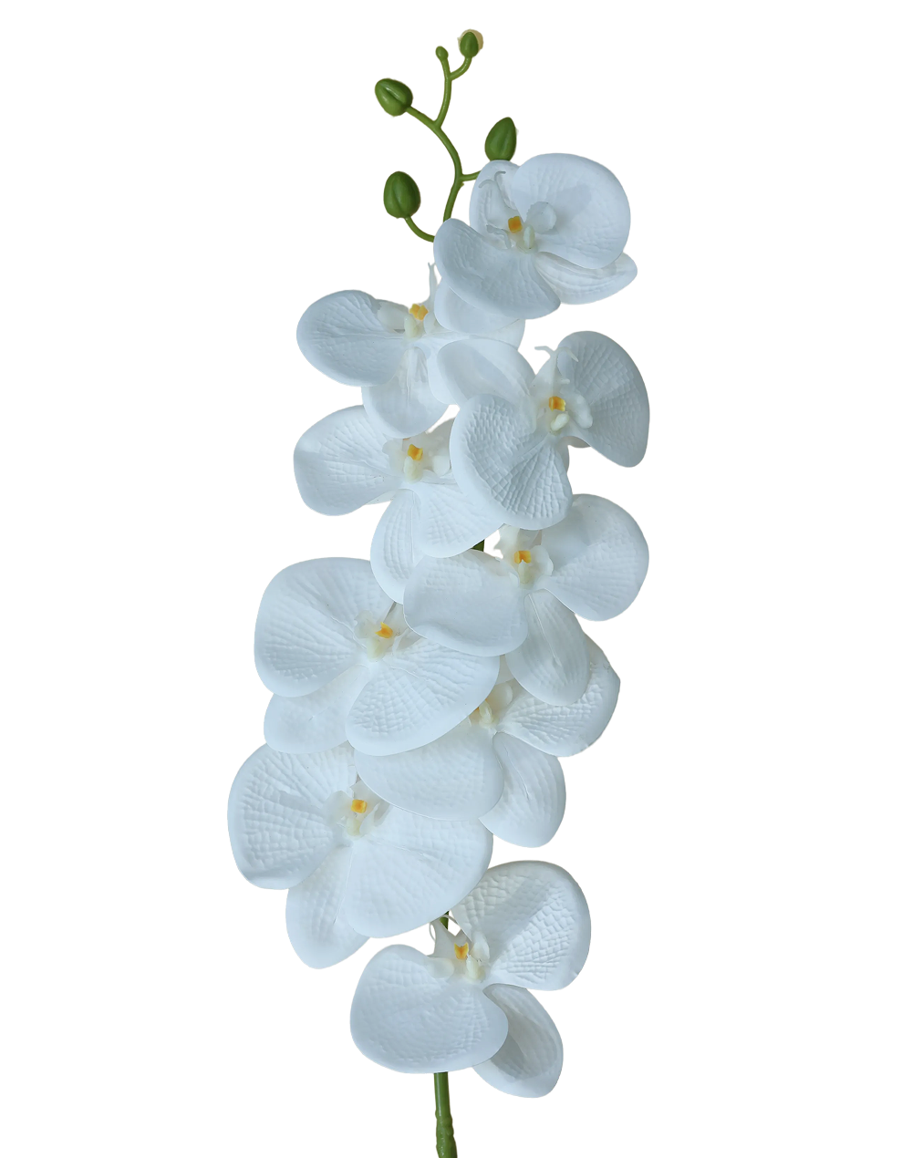 3D Orchid Stem | Available in 31 Colors