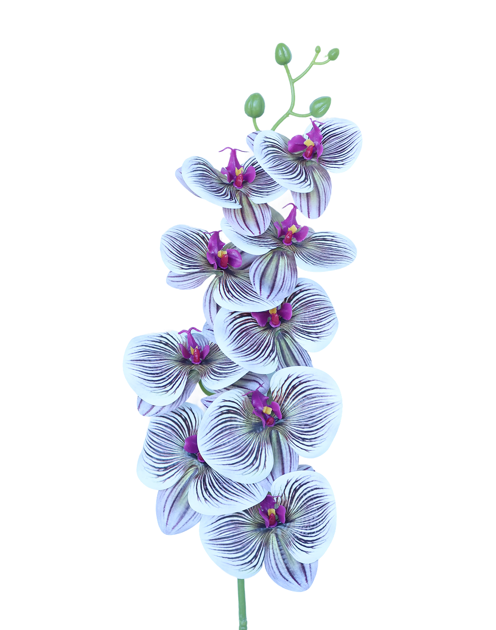 3D Orchid Stem | Available in 31 Colors