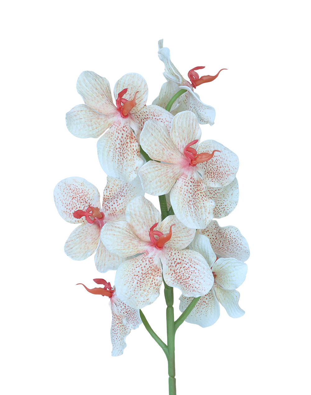 Vanda | Available in 3 Colors