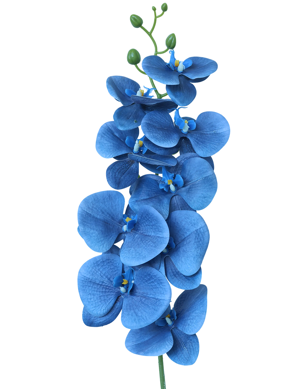 3D Orchid Stem | Available in 31 Colors