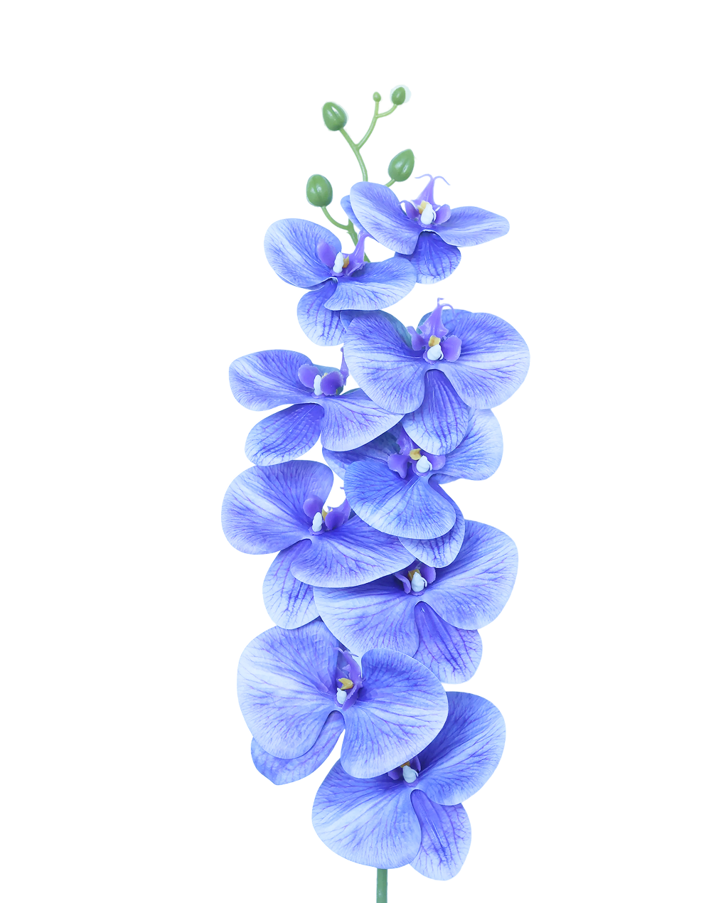 3D Orchid Stem | Available in 31 Colors