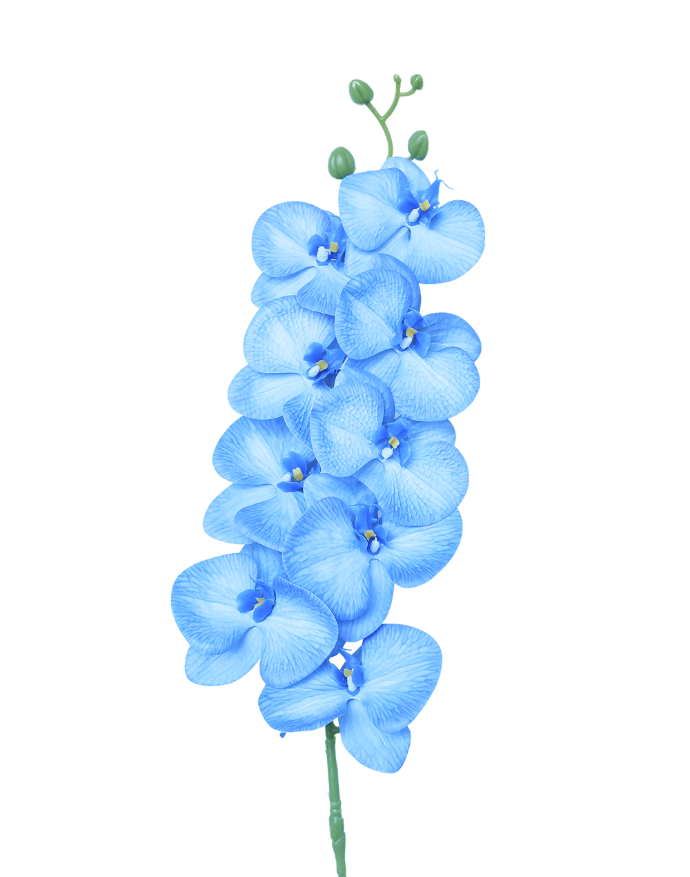 3D Orchid Stem | Available in 31 Colors