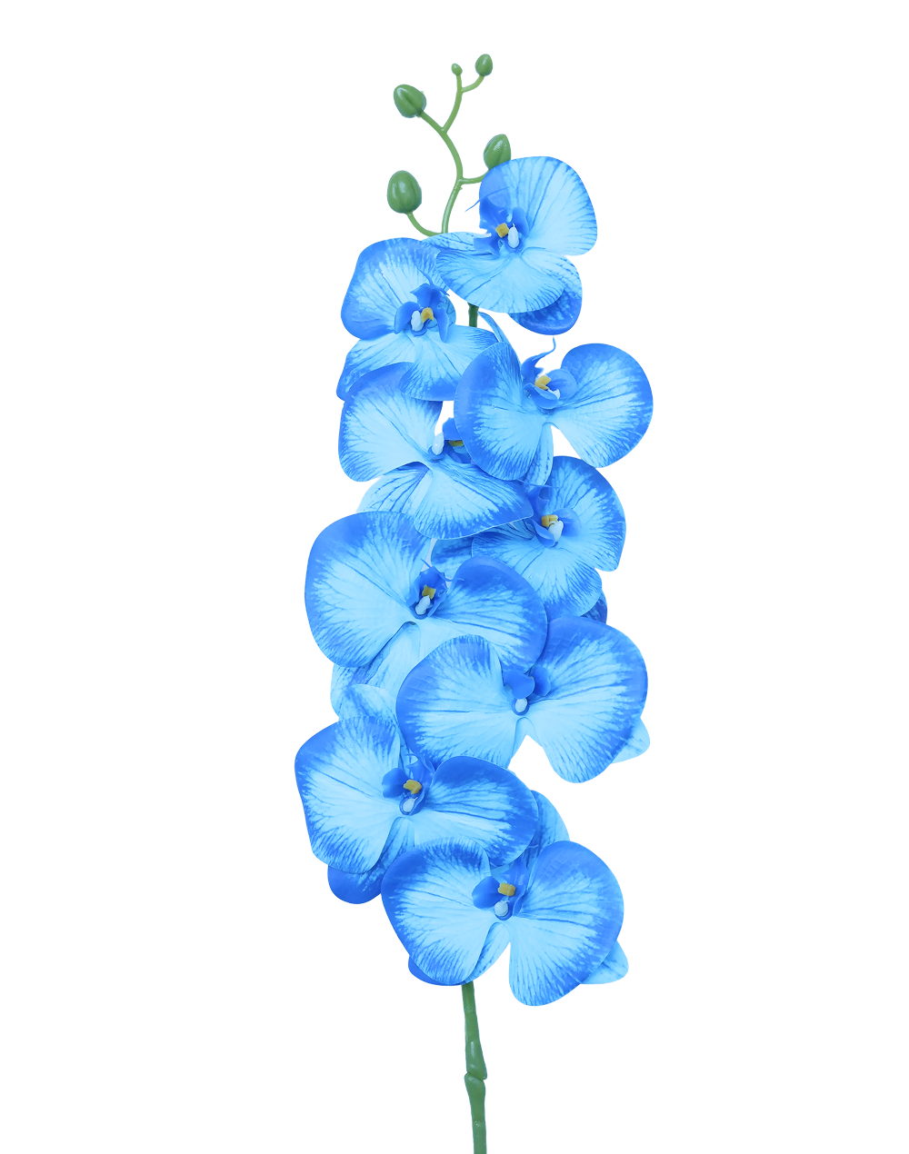 3D Orchid Stem | Available in 31 Colors