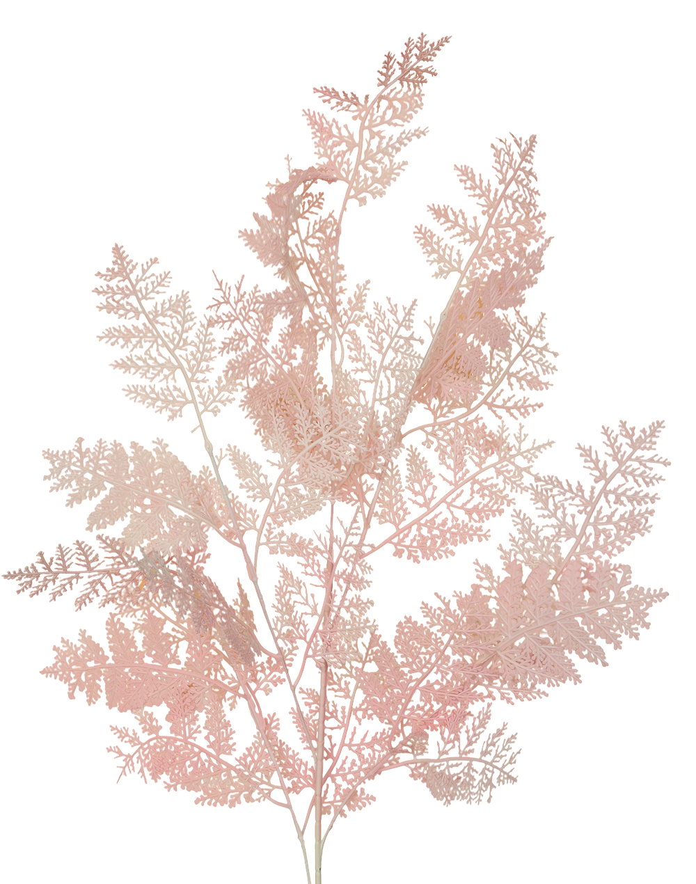 Plastic Lace Fern | Available in 3 Colors
