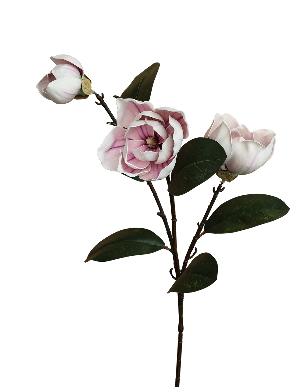 Magnolia Leaf Branch Spray | Available in 2 Colors