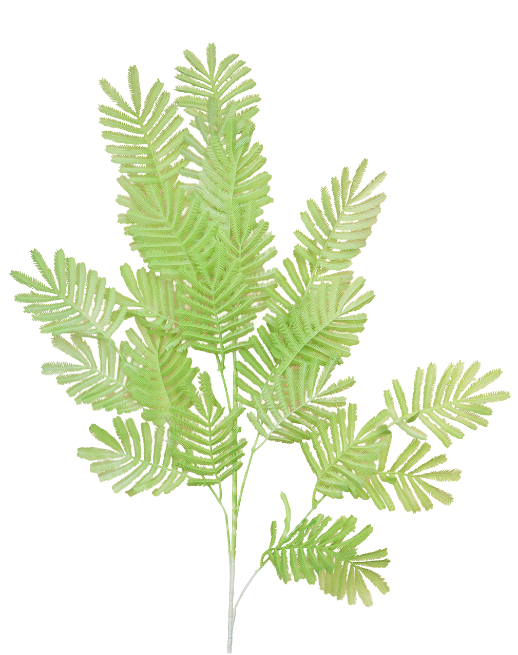 Plastic Mimosa Branch | Available in 5 Colors