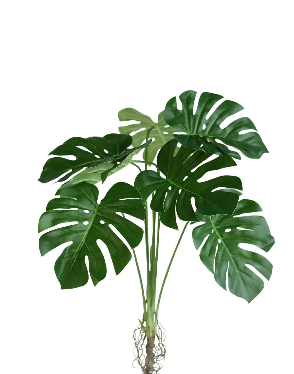 Faux Monstera