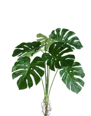 Faux Monstera