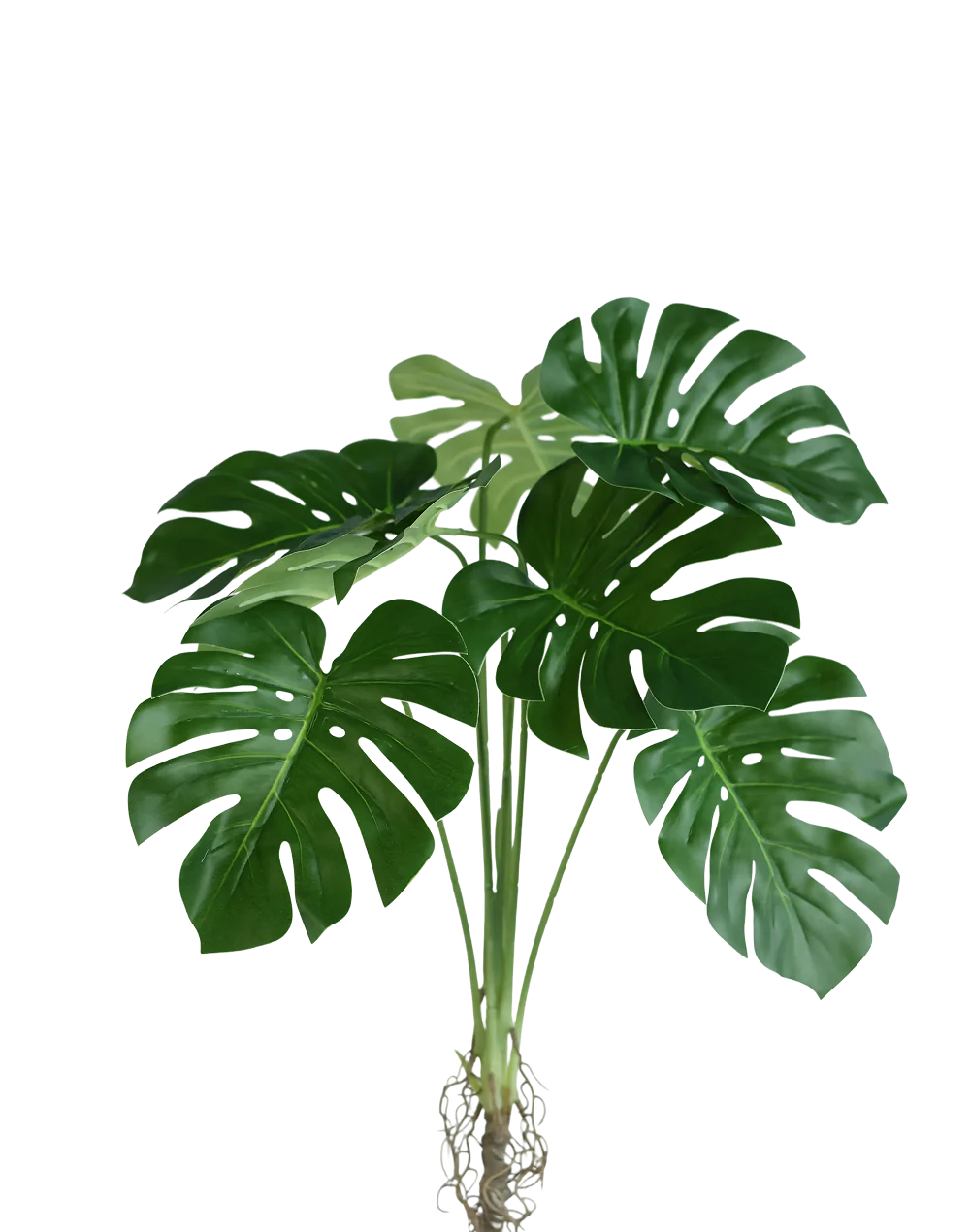 Faux Monstera