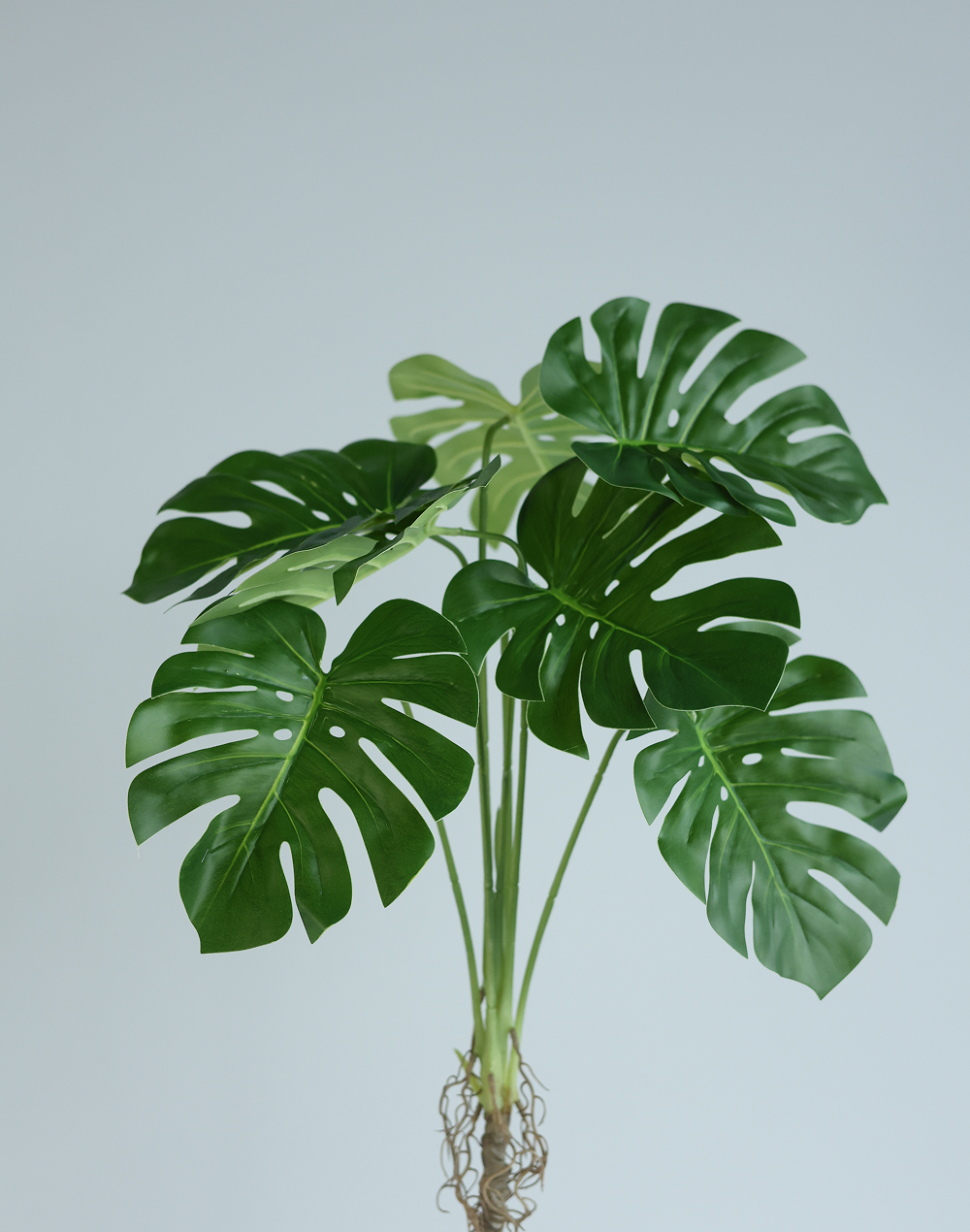 Faux Monstera