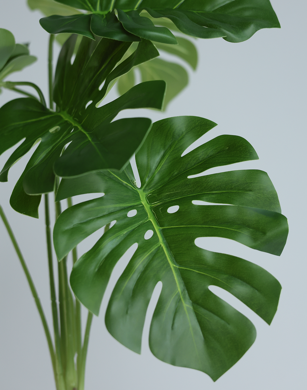 Faux Monstera
