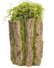 Moss Decorative Planter | Available in 3 Sizes