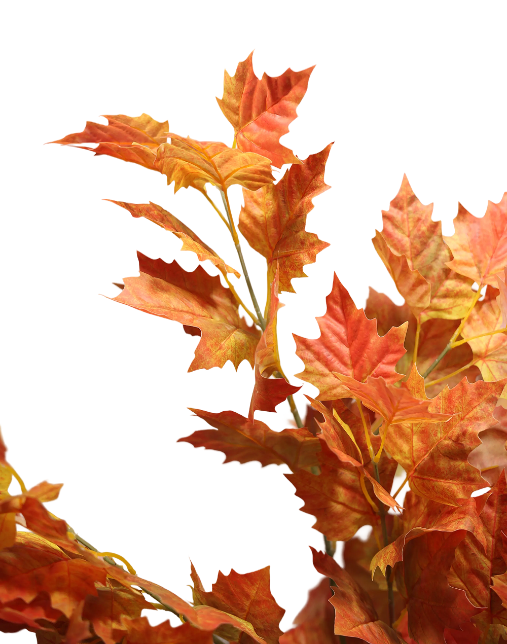 Autumn Leaves-40" Orange
