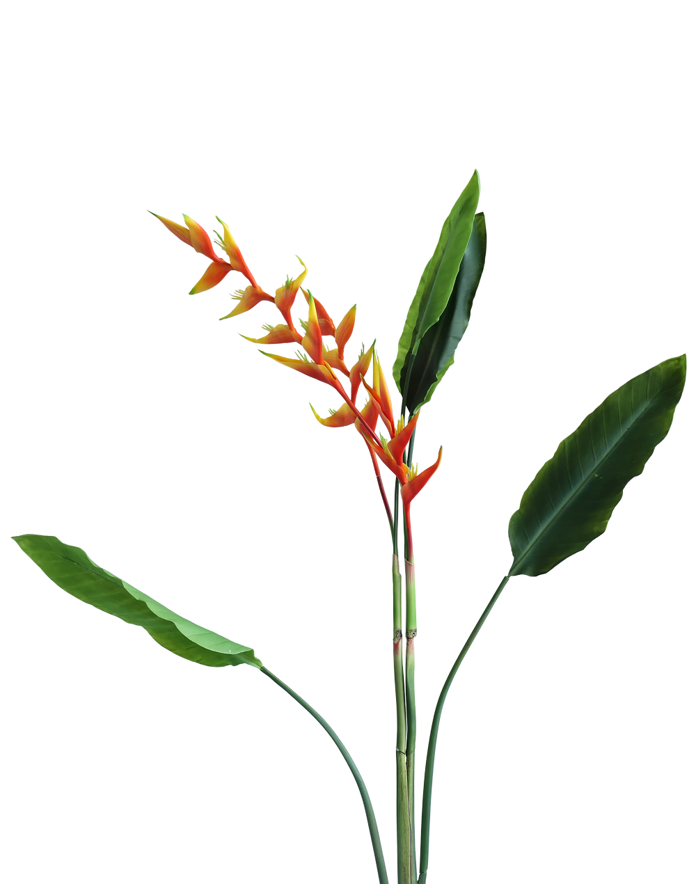 Heliconia Bunch | Available in 3 Colors