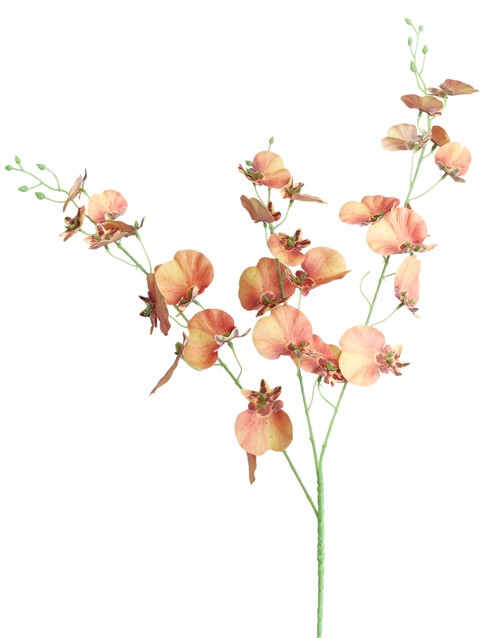 Dancing Orchids | Available in 5 Colors