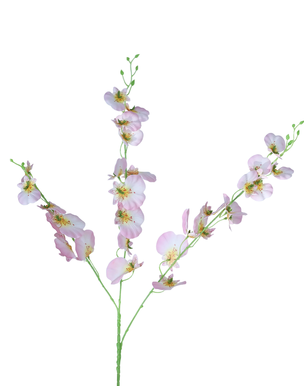 Dancing Orchids | Available in 5 Colors