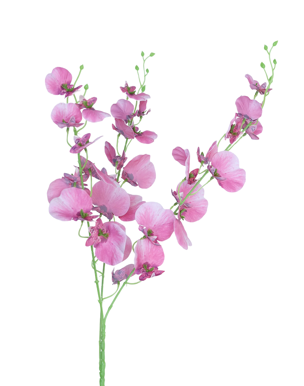 Dancing Orchids | Available in 5 Colors