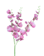 Dancing Orchids | Available in 5 Colors