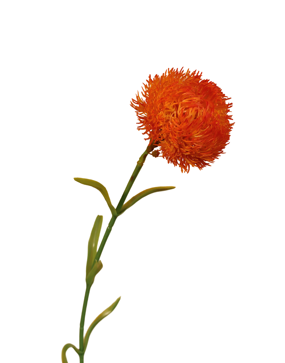 Pincushion Stem | Available in 4 Colors