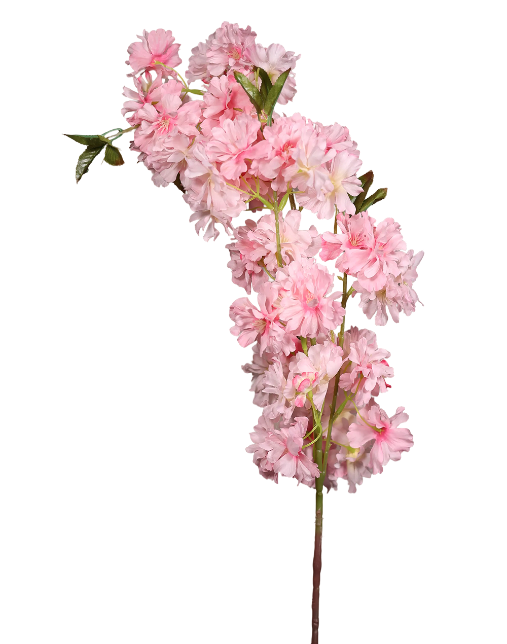 Pink Cherry Blossom-36" Pink