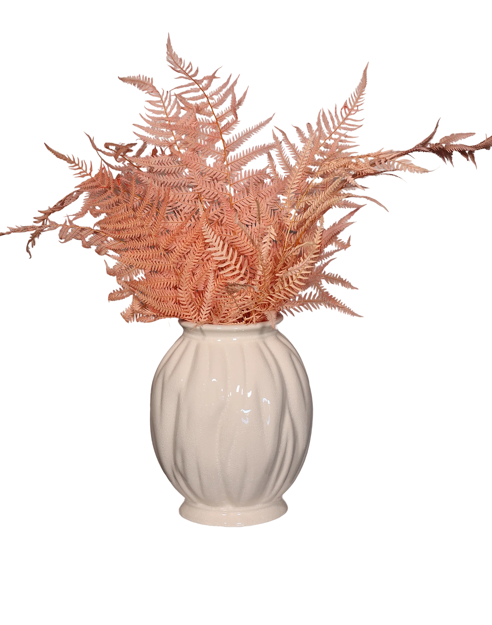 Pink Fern Pink