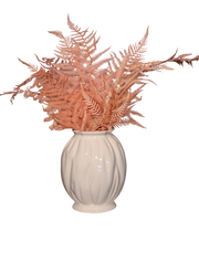 Pink Fern Pink