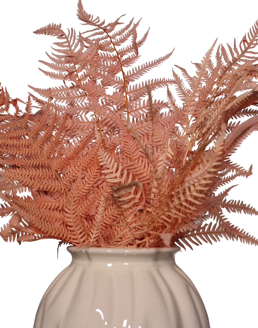 Pink Fern Pink