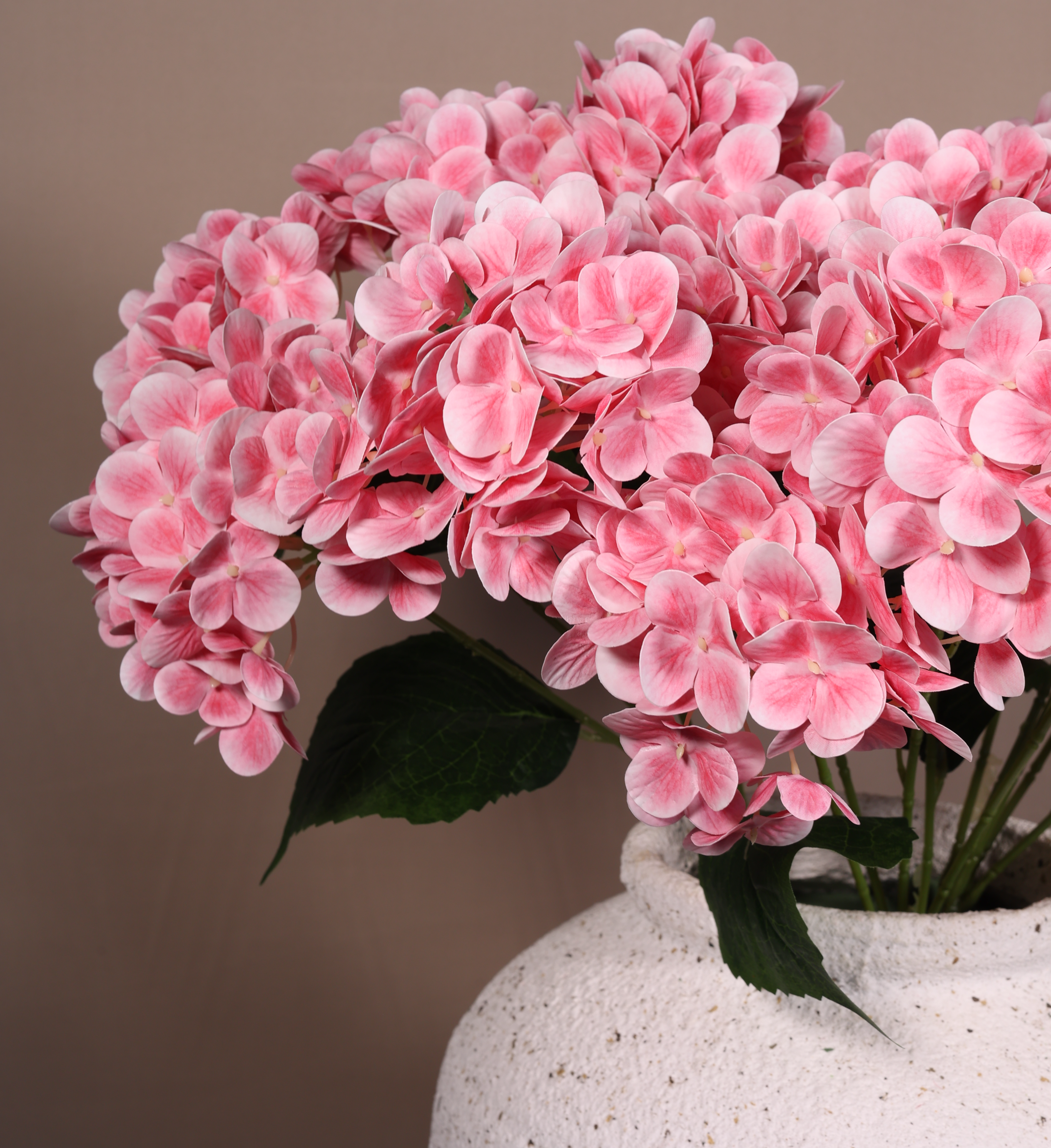 Pink Hydrengea Peach