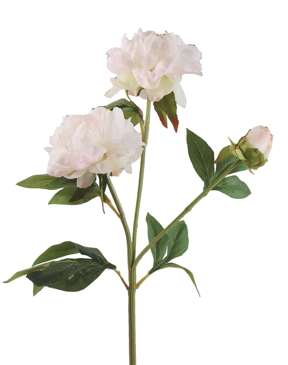 Artificial Peony Flowers | Available in 7 Colors