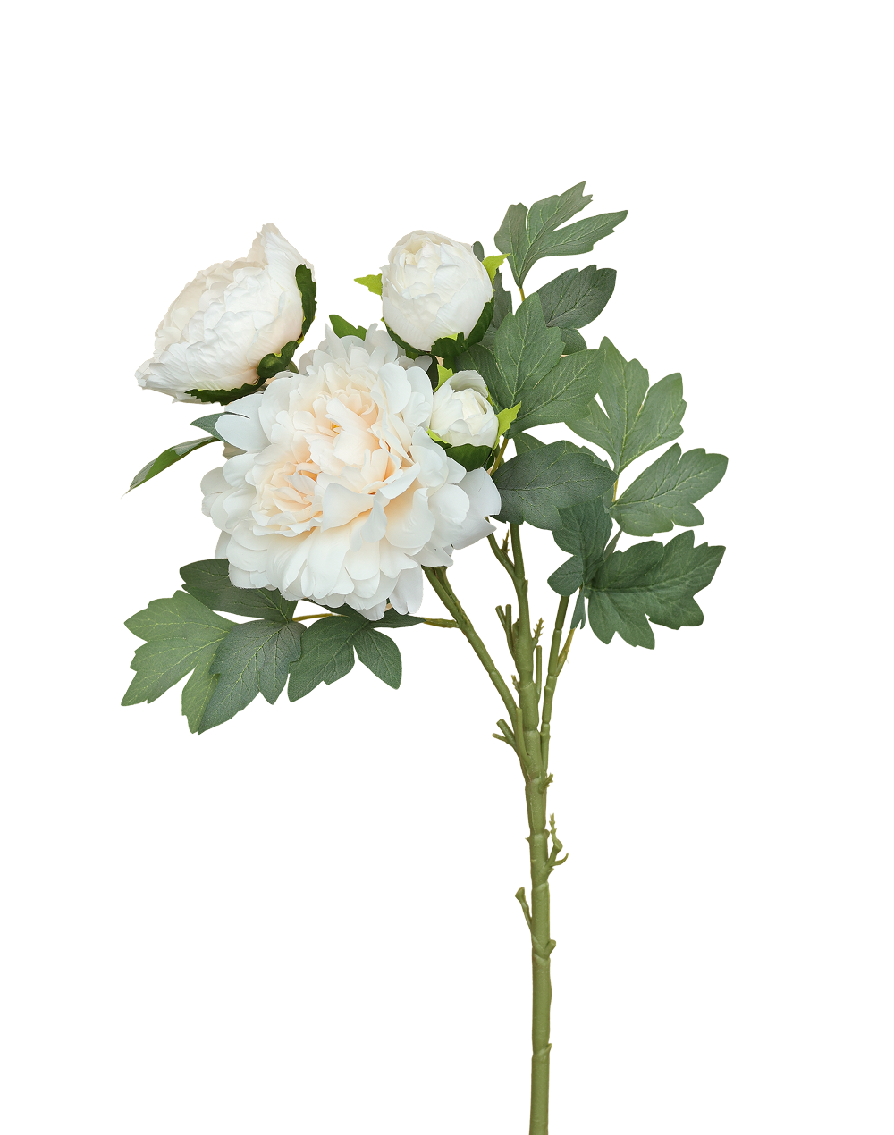 White Creamy 4-head Peony Spray