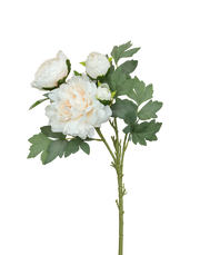 White Creamy 4-head Peony Spray