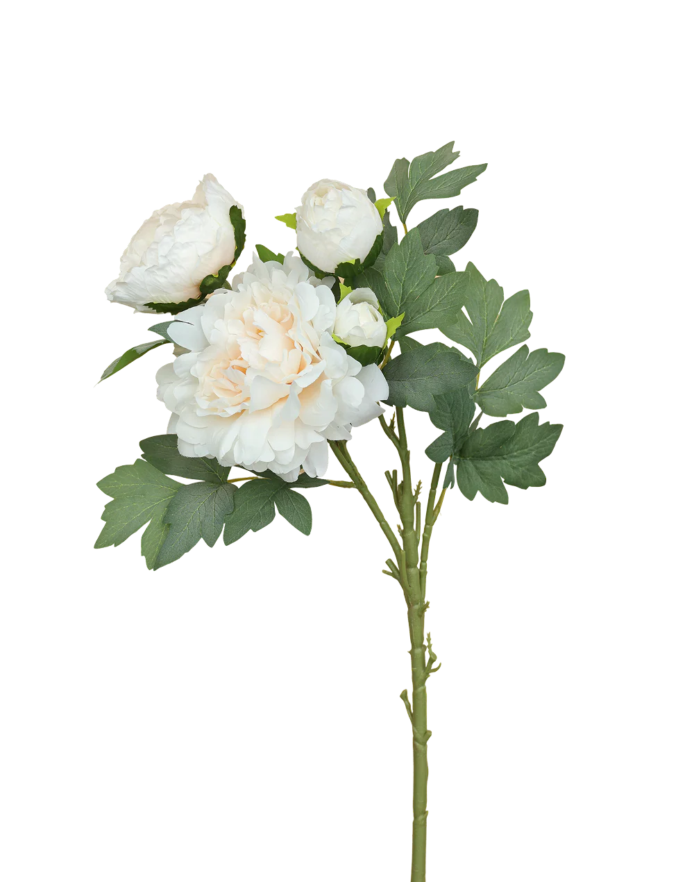 White Creamy 4-head Peony Spray