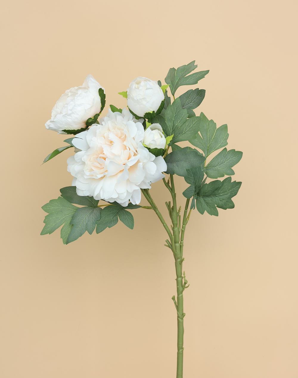 White Creamy 4-head Peony Spray