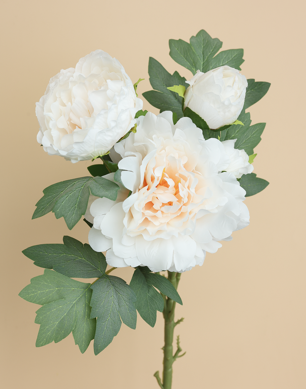 White Creamy 4-head Peony Spray