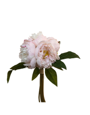 Peony 7 Head Bouquet – Available in 2 Colors