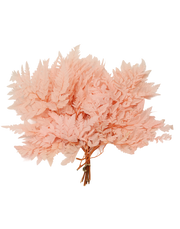 Preserved Leather Fern | Available in 2 Colors