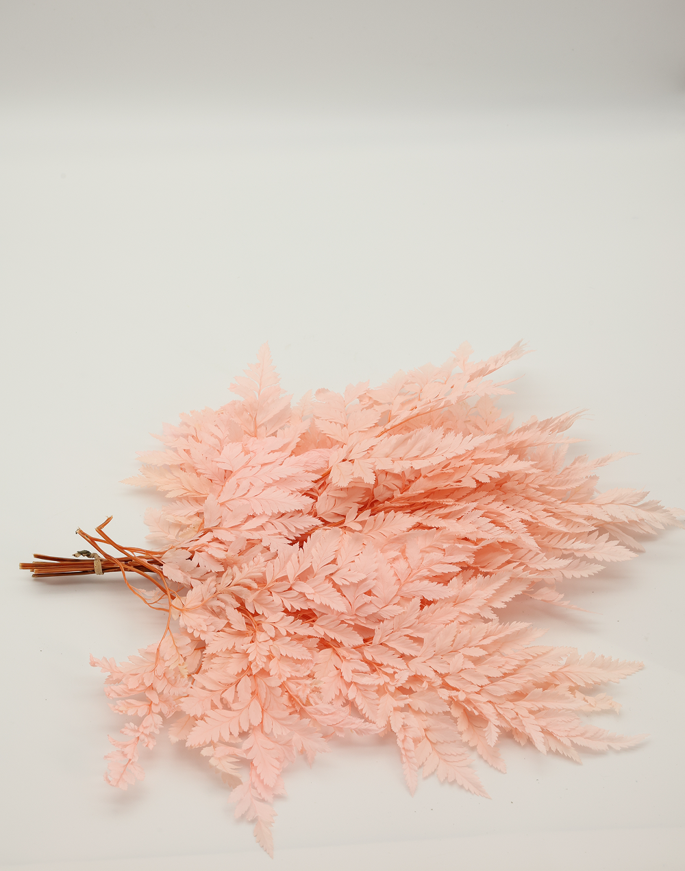 Preserved Leather Fern | Available in 2 Colors