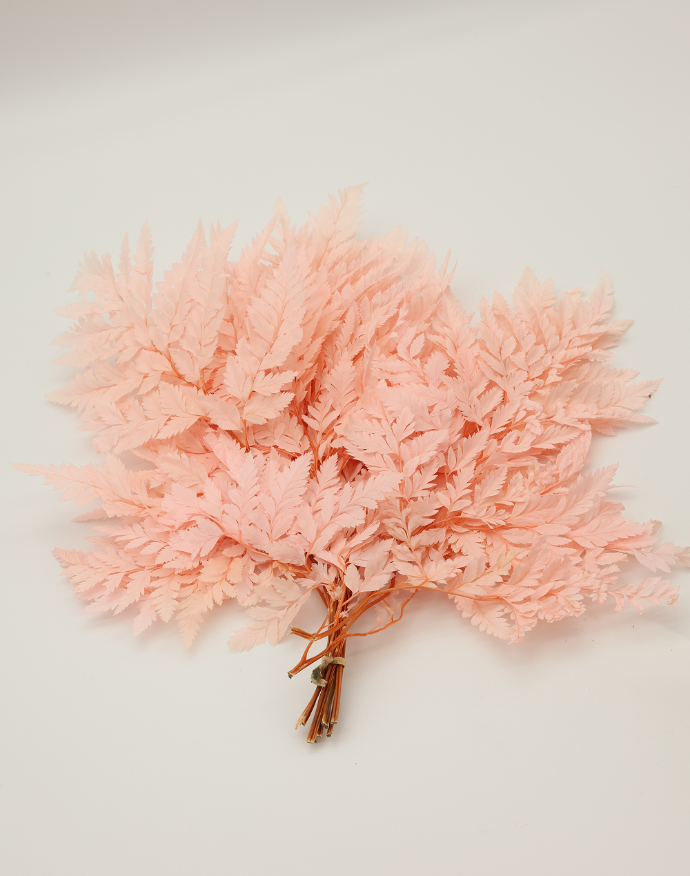Preserved Leather Fern | Available in 2 Colors