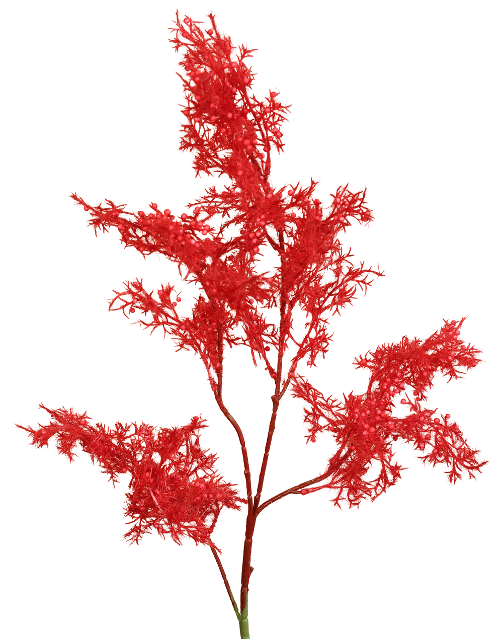 Plume Branch – Available in 3 Colors