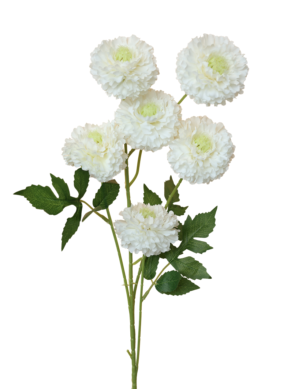 White 6-Head Pompom Spray